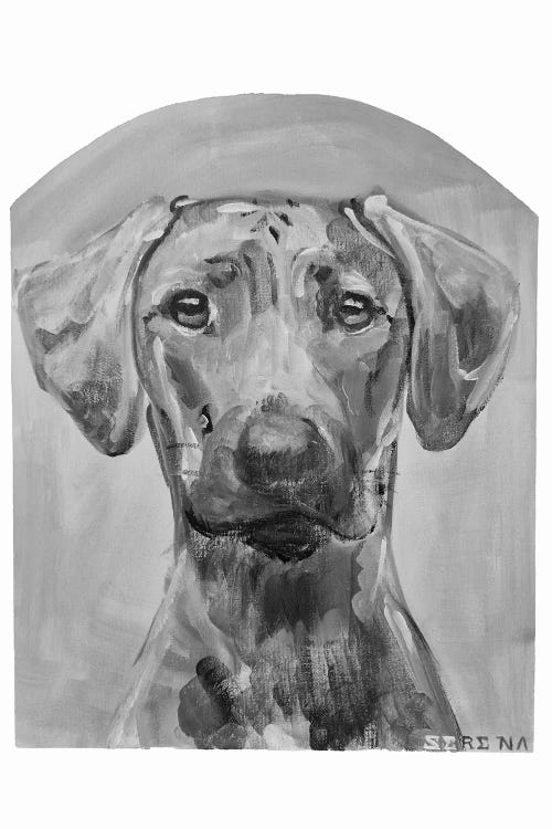 Rhodesian Ridgeback by Serena Singh wall art