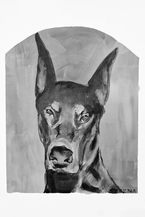 Doberman Black And White by Serena Singh wall art