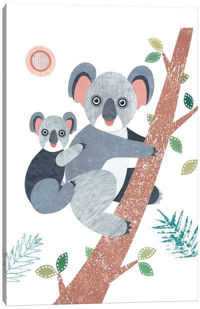 Koala Canvas Art Print - Simon Hart