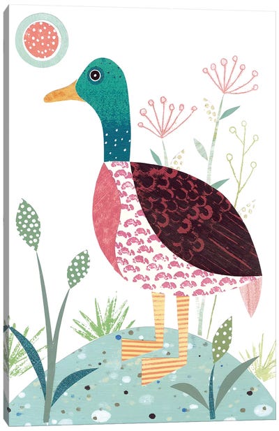 Mallard Duck Canvas Art Print - Simon Hart