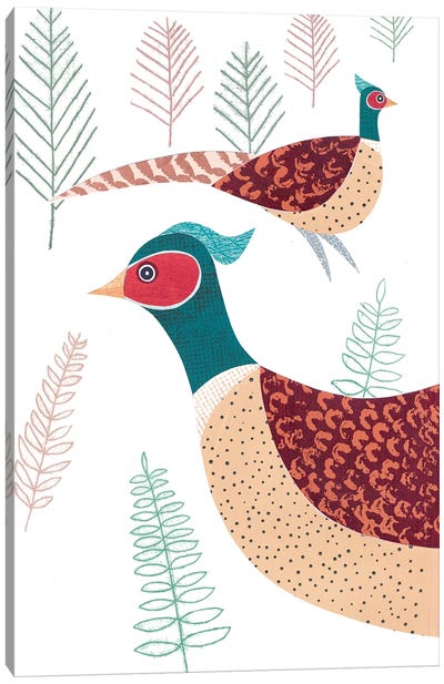 Pheasant Canvas Art Print - Simon Hart