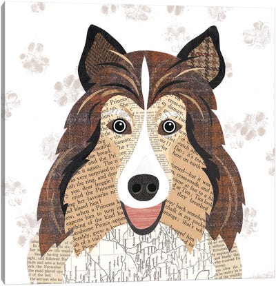 Shetland Sheepdog Canvas Art Print - Shetland Sheepdog Art