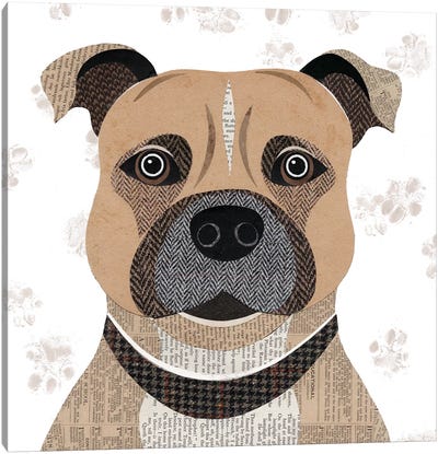 Staffie Canvas Art Print - Staffordshire Bull Terrier Art
