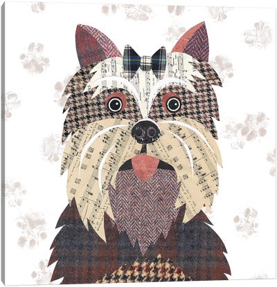 Yorkshire Terrier Canvas Art Print - Simon Hart