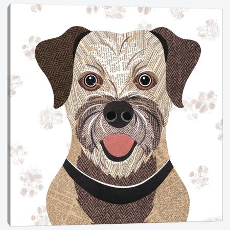 Border Terrier Canvas Print #SIH41} by Simon Hart Canvas Art Print