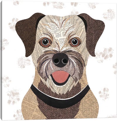 Border Terrier Canvas Art Print - Simon Hart