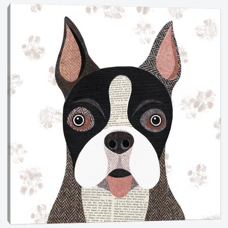 Boston Terrier Canvas Print #SIH43} by Simon Hart Art Print