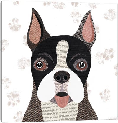 Boston Terrier Canvas Art Print - Simon Hart