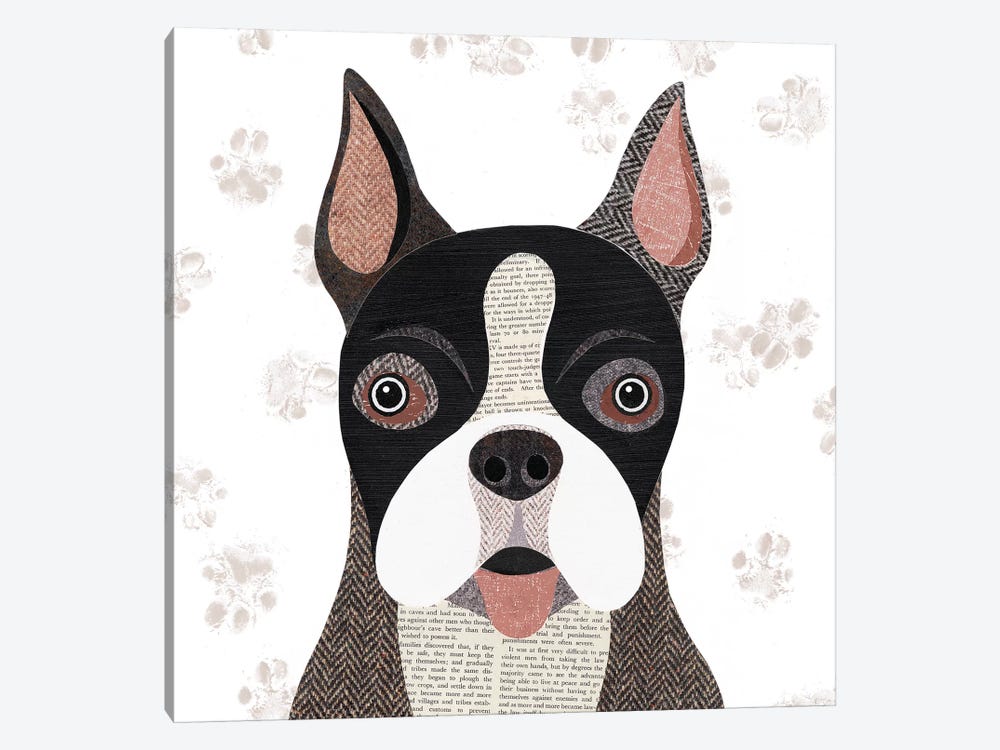 Boston Terrier by Simon Hart 1-piece Art Print