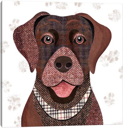 Brown Labrador Canvas Art Print - Simon Hart