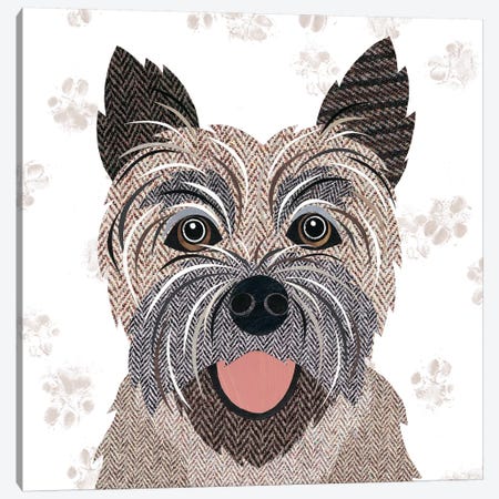 Cairn Terrier Canvas Print #SIH51} by Simon Hart Canvas Artwork
