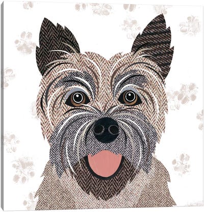 Cairn Terrier Canvas Art Print - Simon Hart