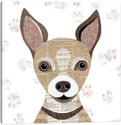 Chihuahua Canvas Art Print - Simon Hart