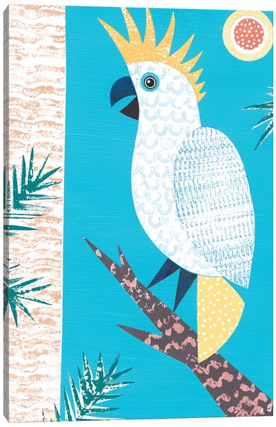 Cockatoo Canvas Art Print - Simon Hart