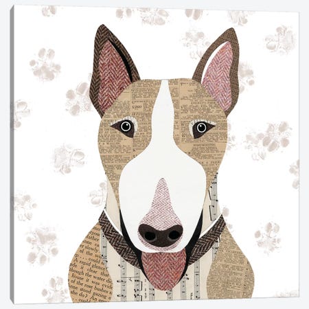English Bull Terrier Canvas Print #SIH74} by Simon Hart Canvas Art Print