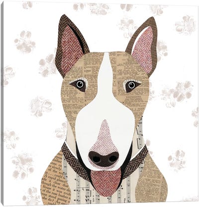 English Bull Terrier Canvas Art Print - Cream Art