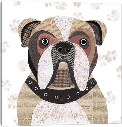 English Bulldog Canvas Art Print - Bulldog Art