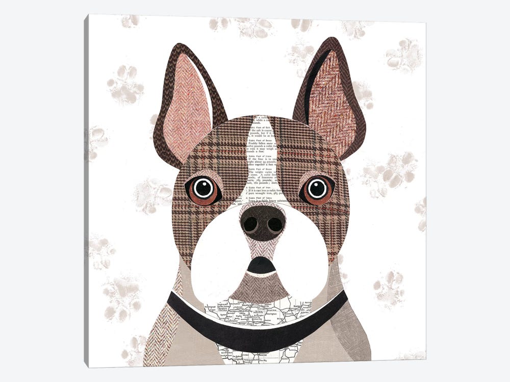 Frenchie by Simon Hart 1-piece Canvas Wall Art