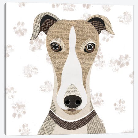 Greyhound Canvas Print #SIH89} by Simon Hart Canvas Print