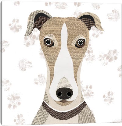 Greyhound Canvas Art Print - Simon Hart