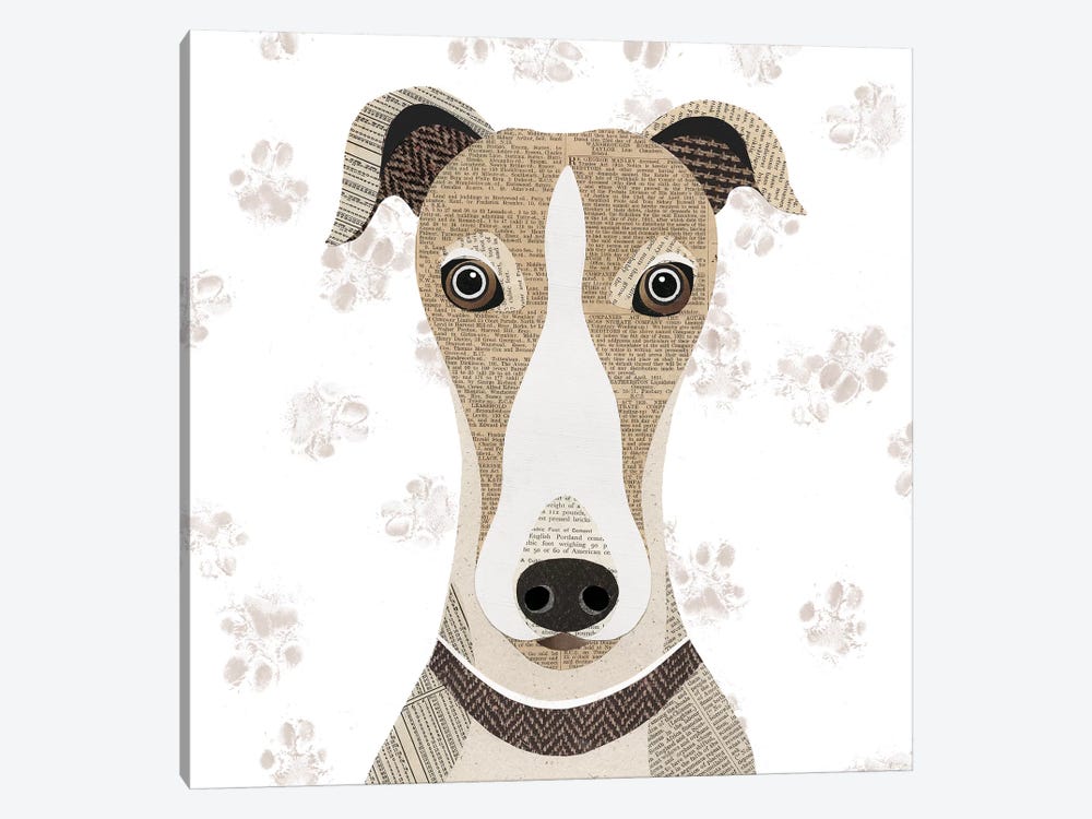 Greyhound by Simon Hart 1-piece Canvas Print