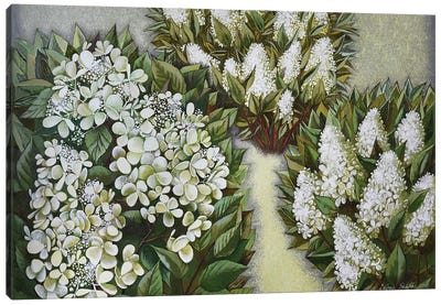 Garden Canvas Art Print - Elena Shichko