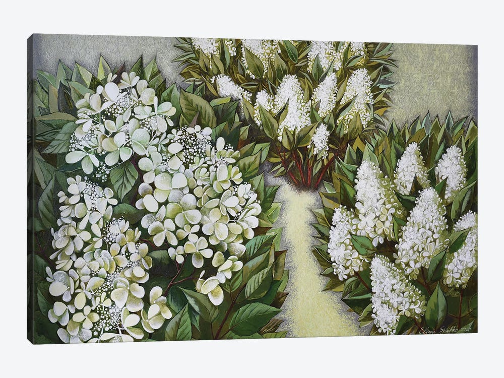 Garden by Elena Shichko 1-piece Canvas Print