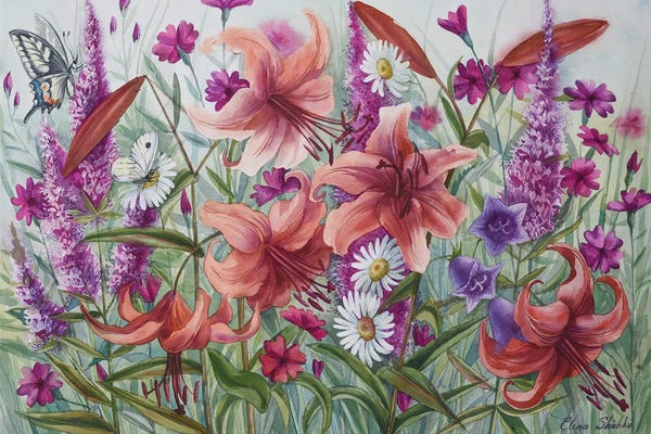 Lilies: Lilies In Garden by Elena Shichko
