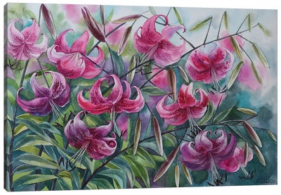 Pink Lilies Canvas Art Print - Elena Shichko