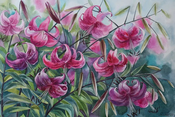 Lilies: Pink Lilies by Elena Shichko