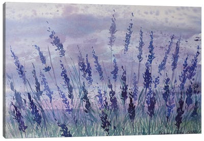 Lavender Canvas Art Print - Herb Art