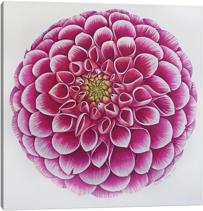 Flower Labyrinth Canvas Art Print - Dahlia Art