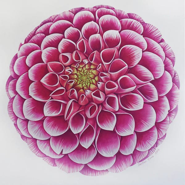 Dahlias: Flower Labyrinth by Elena Shichko