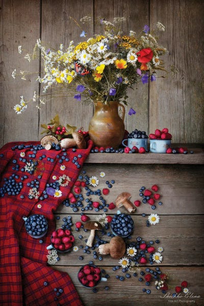 July by Elena Shichko canvas print