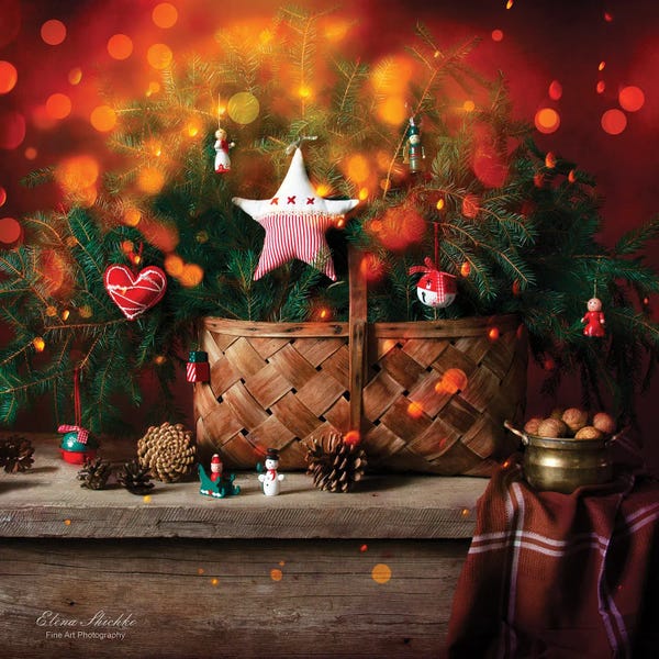 Home For The Holidays: Christmas Miracle by Elena Shichko