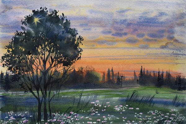 Elena Shichko: Summer Evening by Elena Shichko