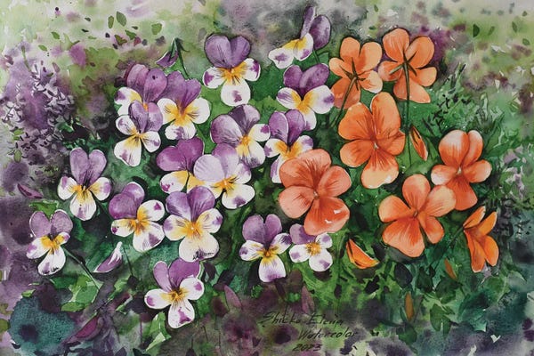 Elena Shichko: Field Of Pansies by Elena Shichko