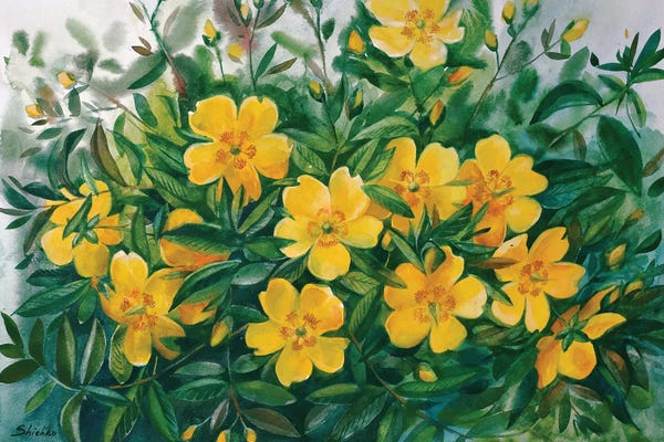 Elena Shichko: Flowers In My Garden by Elena Shichko