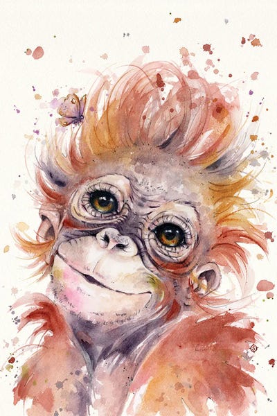Orangutans: Little Monkey by Sillier Than Sally