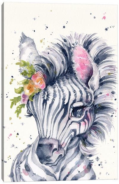 Little Zebra Canvas Art Print - Sillier Than Sally