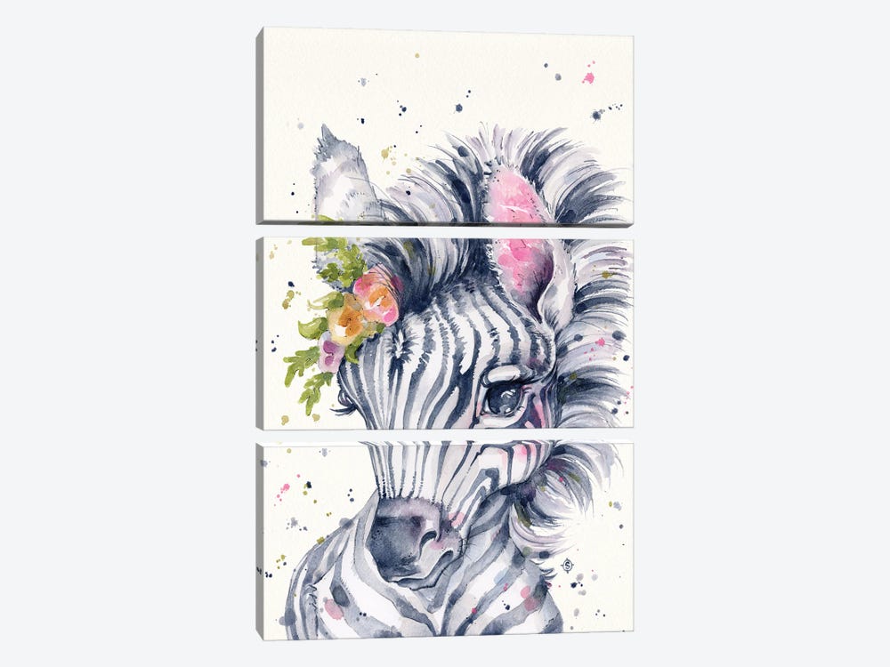 Little Zebra by Sillier Than Sally 3-piece Canvas Artwork
