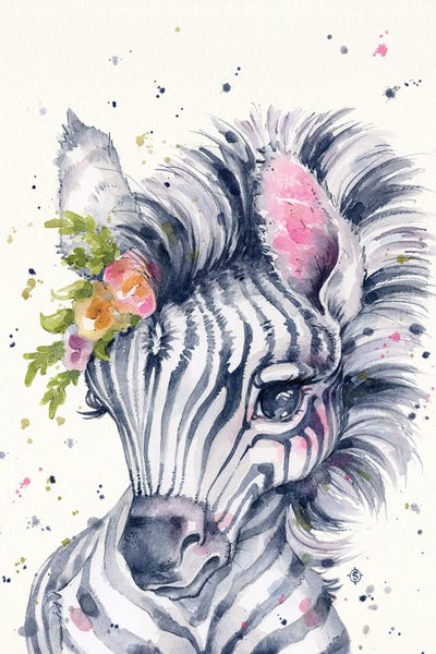 Zebras: Little Zebra by Sillier Than Sally