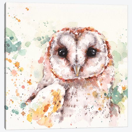 Barn Owl Canvas Print #SIL10} by Sillier Than Sally Canvas Art