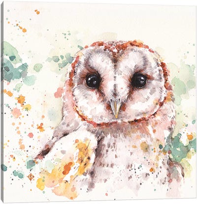 Barn Owl Canvas Art Print - Sillier Than Sally