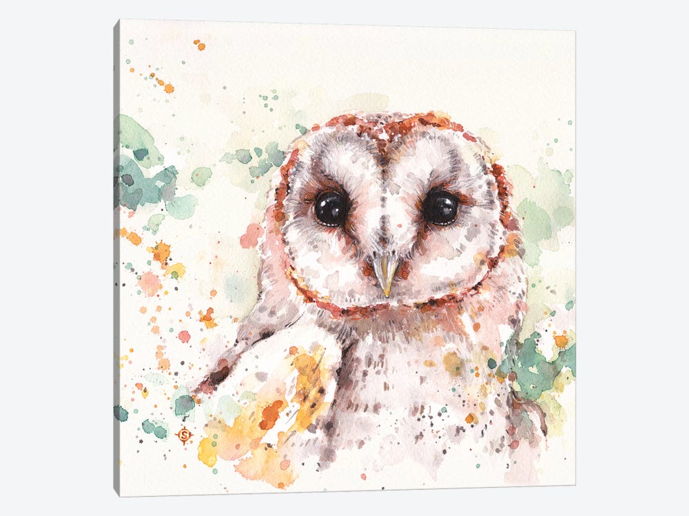 Barn Owl by Sillier Than Sally 1-piece Canvas Art