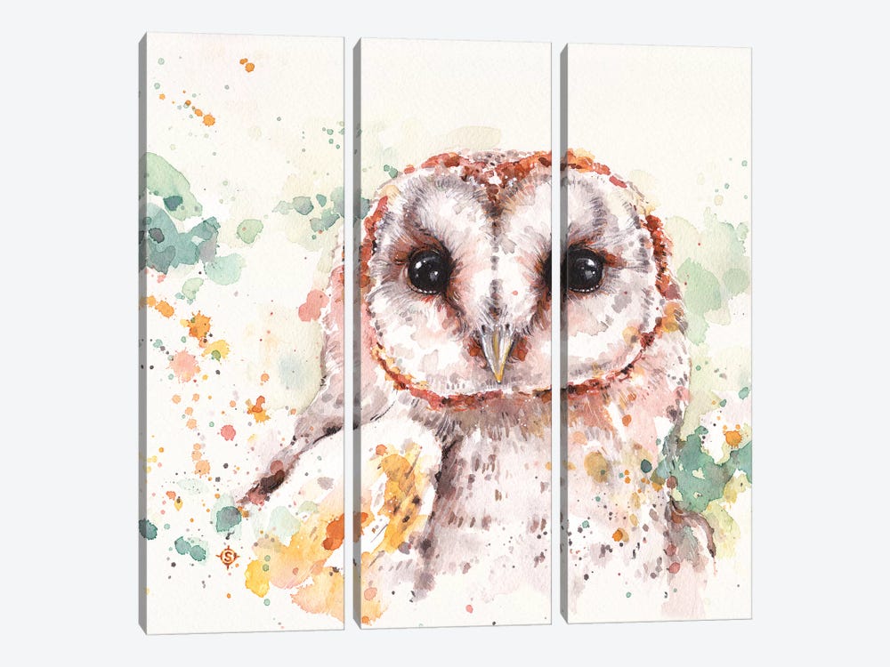 Barn Owl by Sillier Than Sally 3-piece Canvas Wall Art