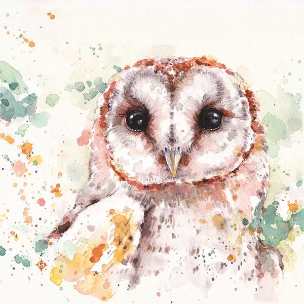 Nursery: Barn Owl by Sillier Than Sally