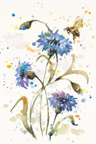 Cornflowers: Cornflower Dance by Sillier Than Sally
