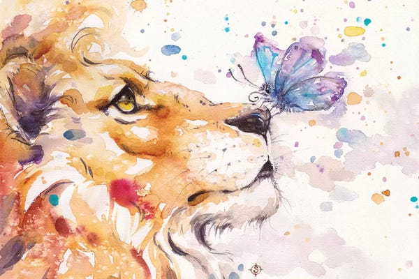 Lions: Finn's Lion by Sillier Than Sally