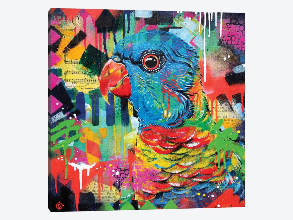 A Chattering Rainbow by Sillier Than Sally 1-piece Canvas Artwork